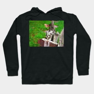 His Day Job Hoodie